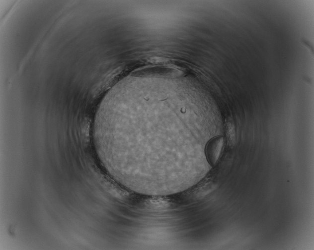 X0000100470668200807031829