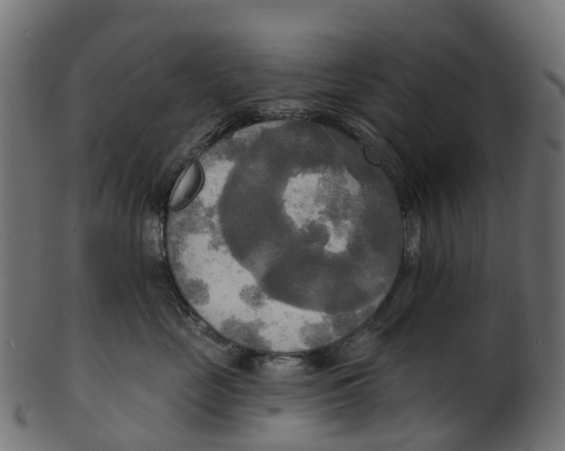 X0000100470669200807031829