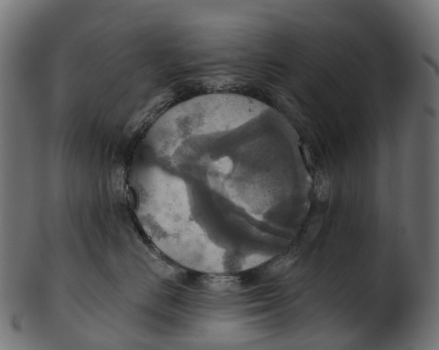 X0000100470670200807031829