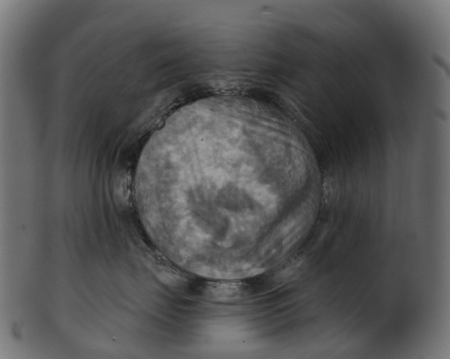 X0000100470671200807031829