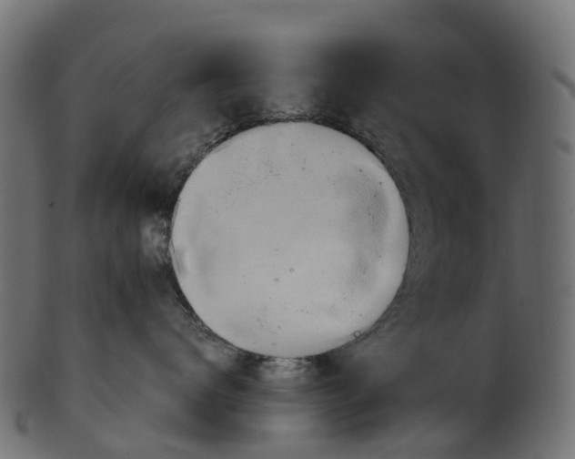 X0000100470672200807031829