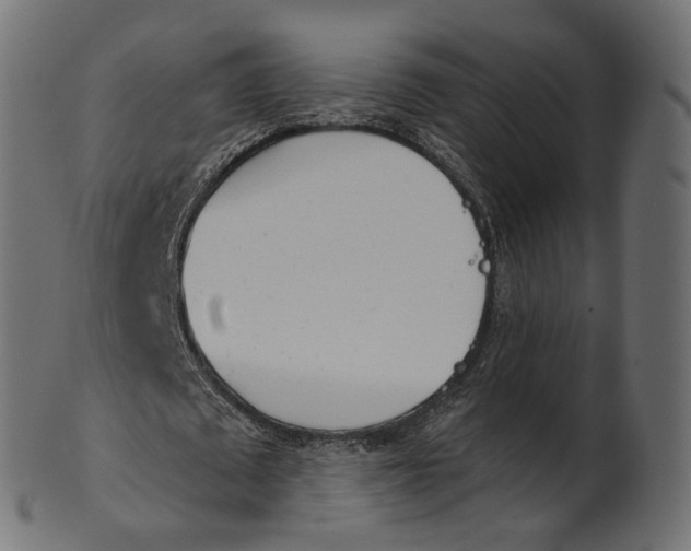 X0000100470673200807031828