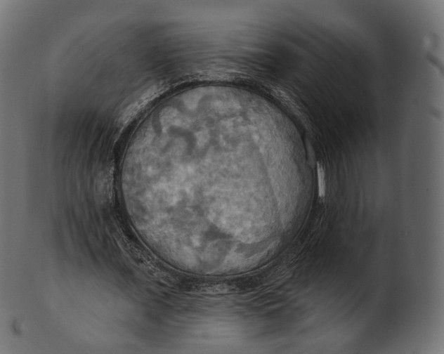 X0000100470675200807031828