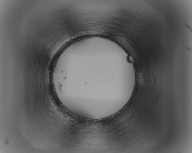 X0000100470676200807031828