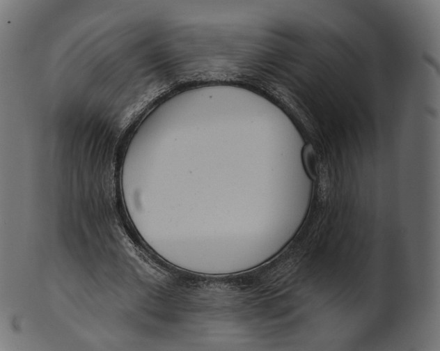 X0000100470677200807031828