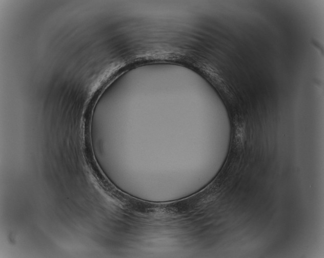 X0000100470678200807031828