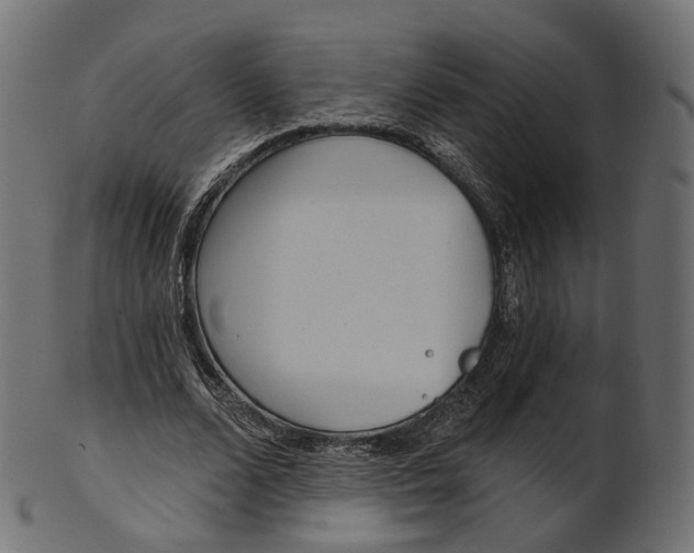 X0000100470680200807031828