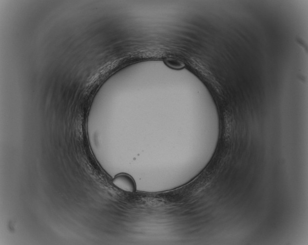 X0000100470681200807031828