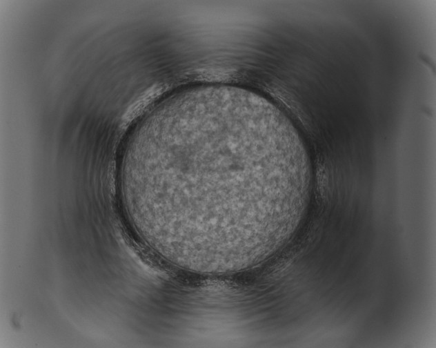 X0000100470682200807031828