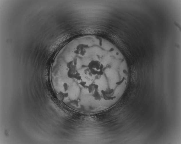 X0000100470683200807031828