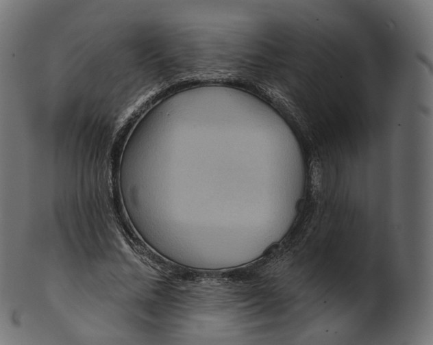 X0000100470684200807031828