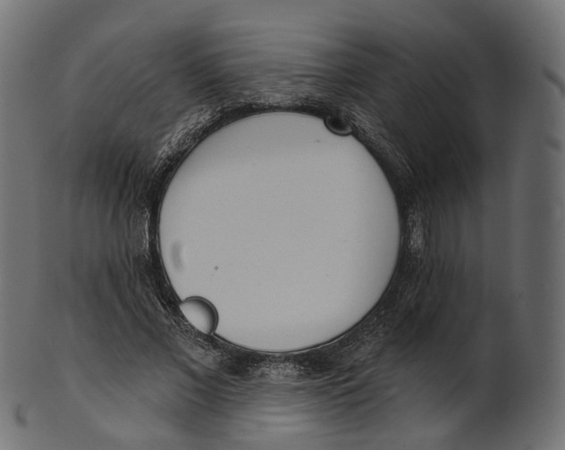 X0000100470685200807031828