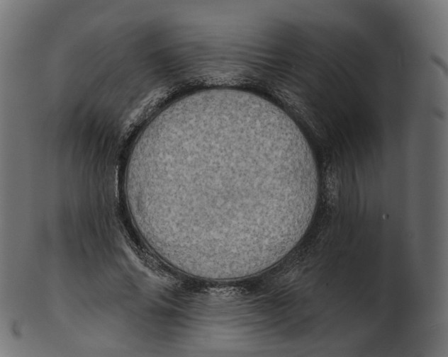 X0000100470686200807031828