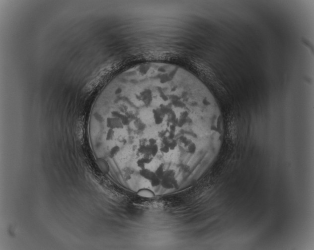 X0000100470687200807031828