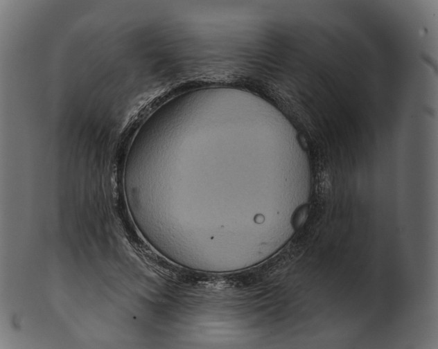 X0000100470688200807031828