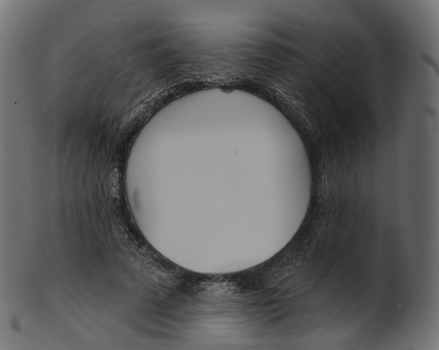 X0000100470689200807031828