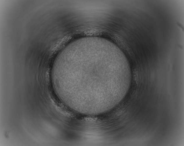 X0000100470690200807031828