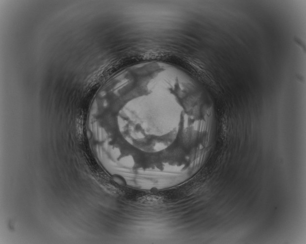 X0000100470691200807031828