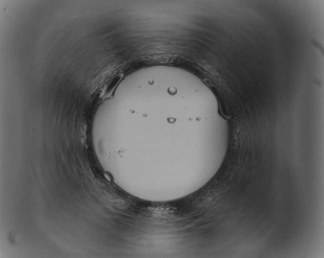 X0000100470693200807031828