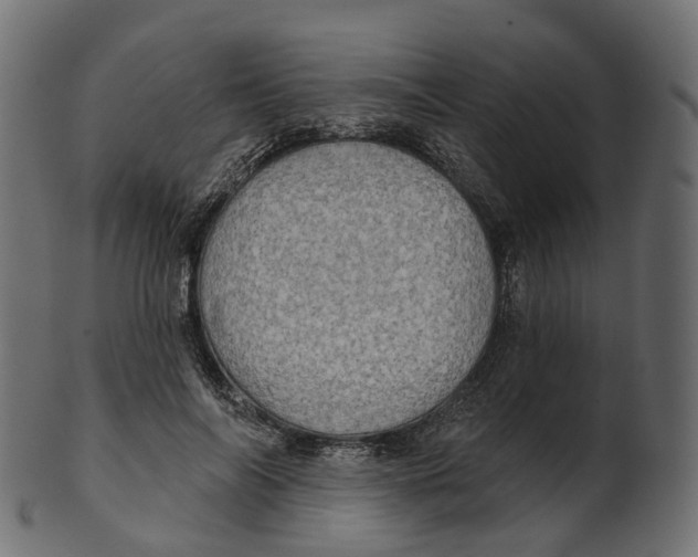 X0000100470694200807031828