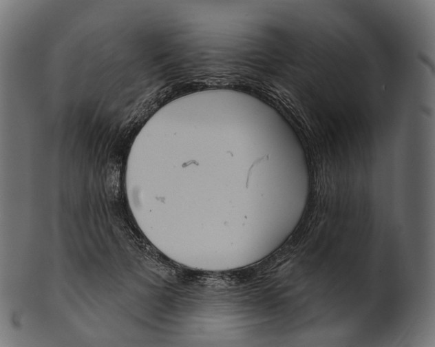 X0000100470697200807031828