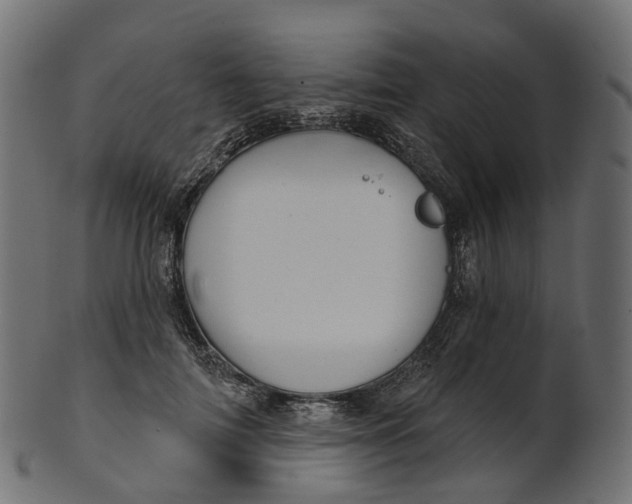 X0000100470698200807031828