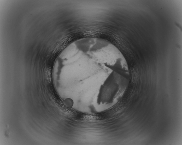 X0000100470699200807031828