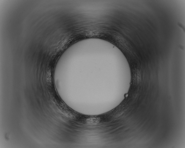 X0000100470700200807031828