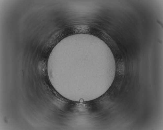 X0000100470701200807031828