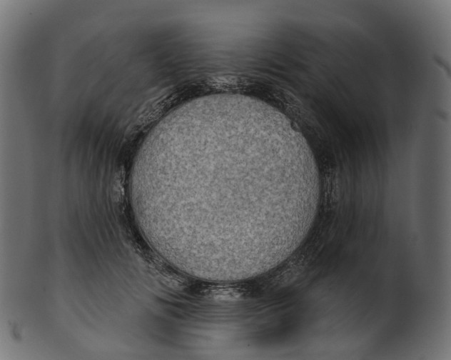 X0000100470702200807031828