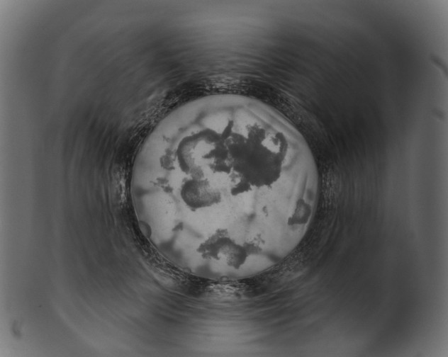 X0000100470703200807031828