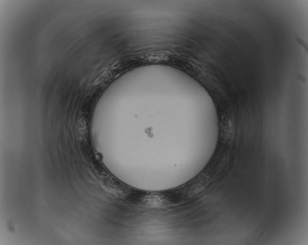 X0000100470704200807031828