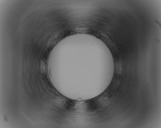 X0000100470705200807031828