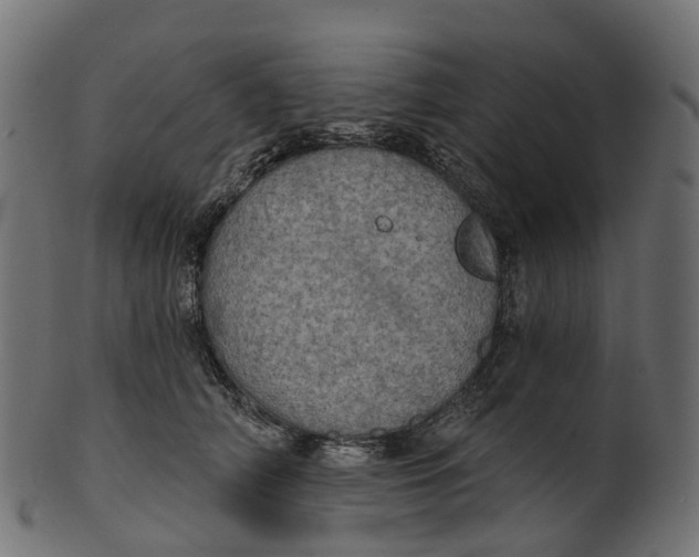 X0000100470706200807031828