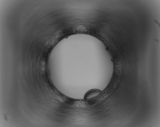 X0000100470708200807031828