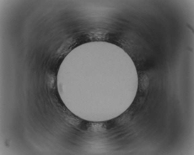 X0000100470709200807031828