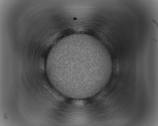 X0000100470710200807031828