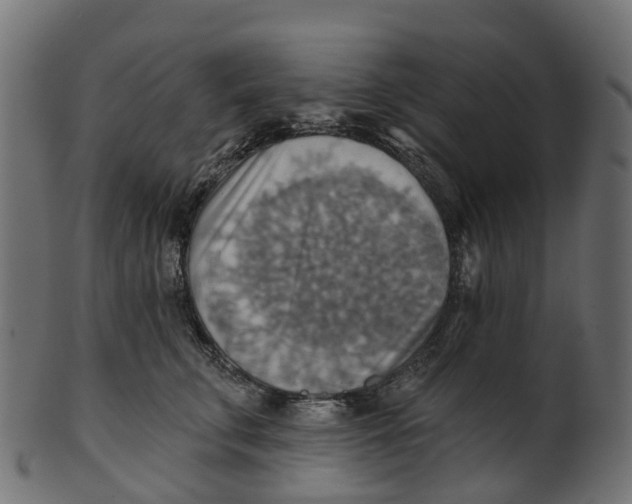 X0000100470711200807031828