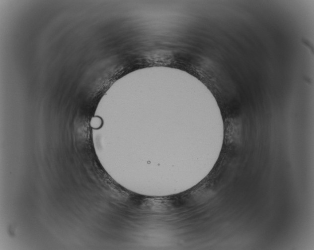 X0000100470713200807031828