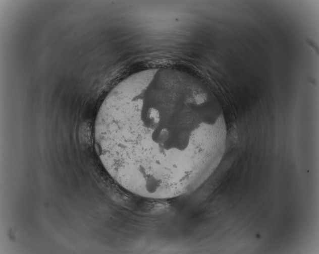 X0000100470715200807031828