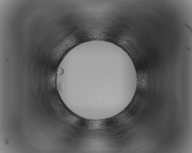 X0000100470717200807031828