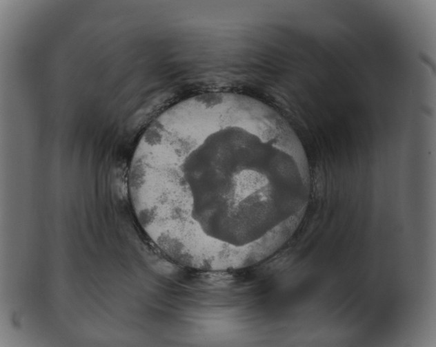 X0000100470719200807031827