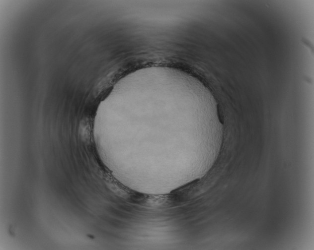 X0000100470720200807031827