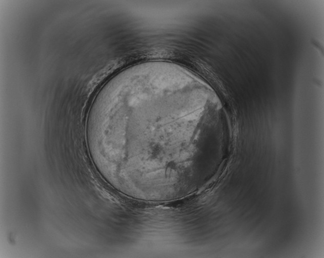 X0000100470721200807031827