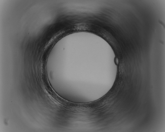 X0000100470722200807031827