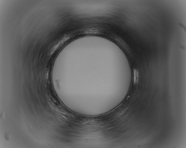 X0000100470723200807031827