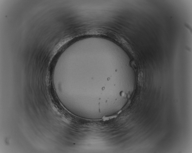 X0000100470724200807031827