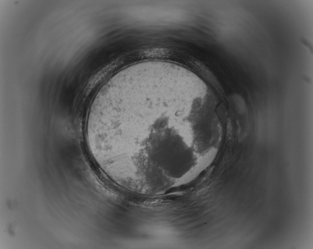 X0000100470725200807031827