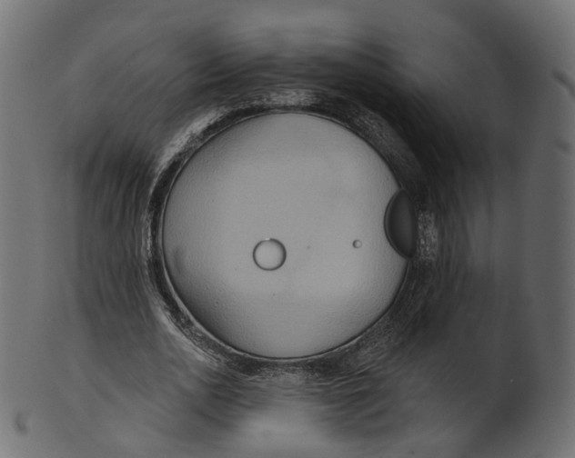 X0000100470726200807031827