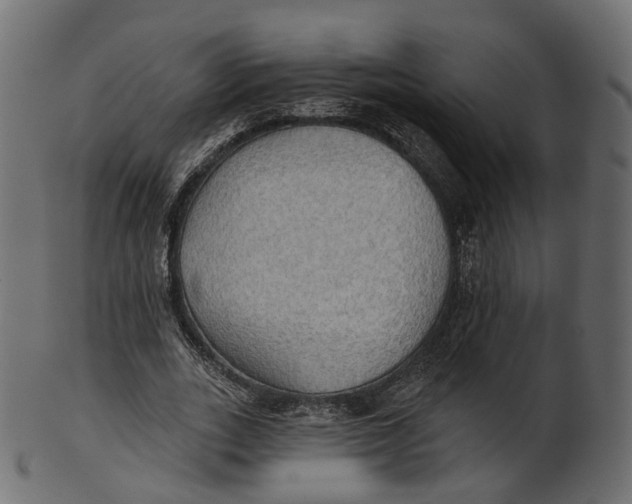 X0000100470727200807031827